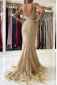 Arthur Elegant Champagne V-Neck Backless Lace Mermaid Evening Dresses